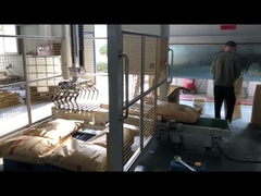 자동 평탄화와 팔레타이징 기계, 낮은 수준 팰리타이저